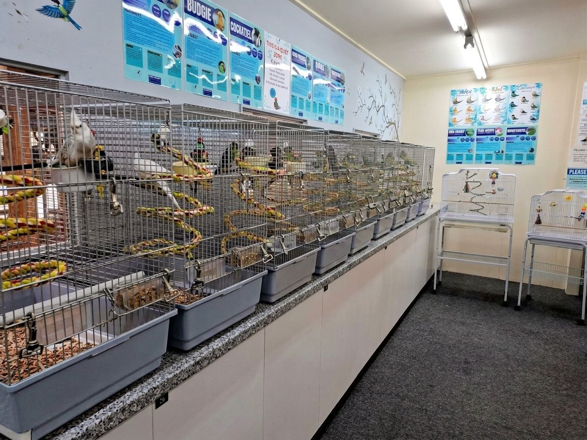 Baby Bird Room