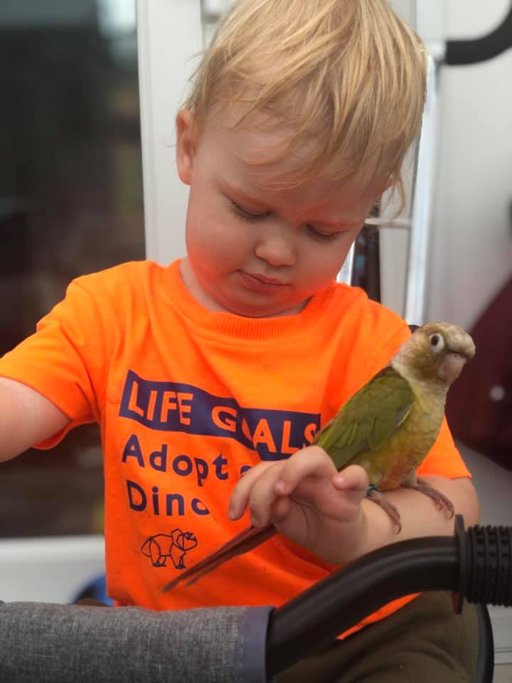 Merlin, a customer's Conure