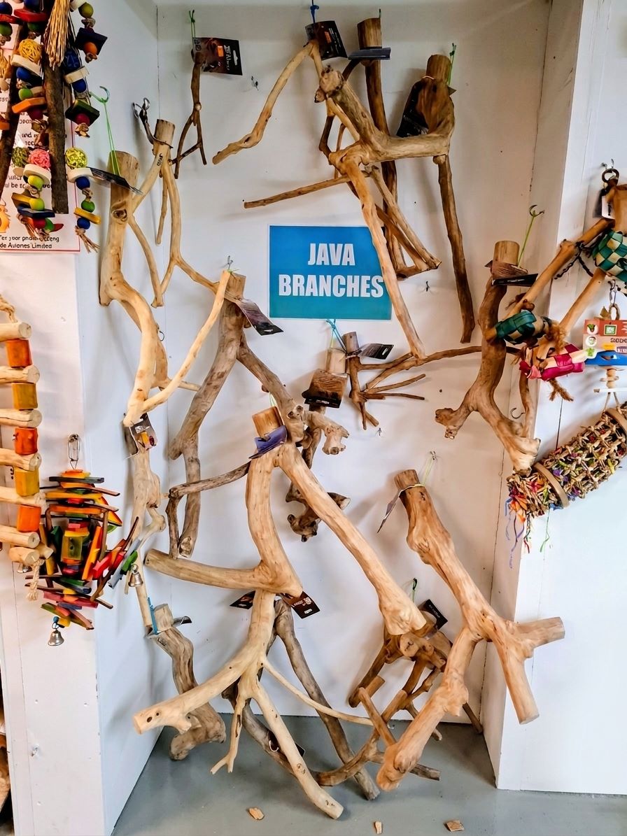 Java Branches