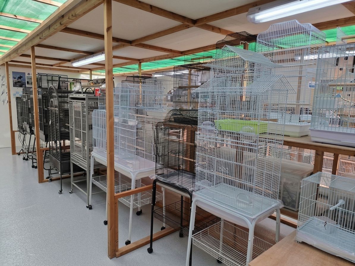 Large Cages