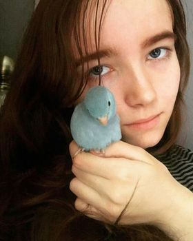 Peapo, a customer's Parrotlet