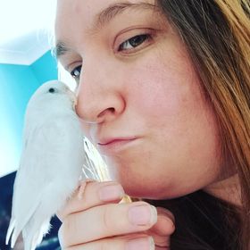 Pepper, a customer's Parrotlet